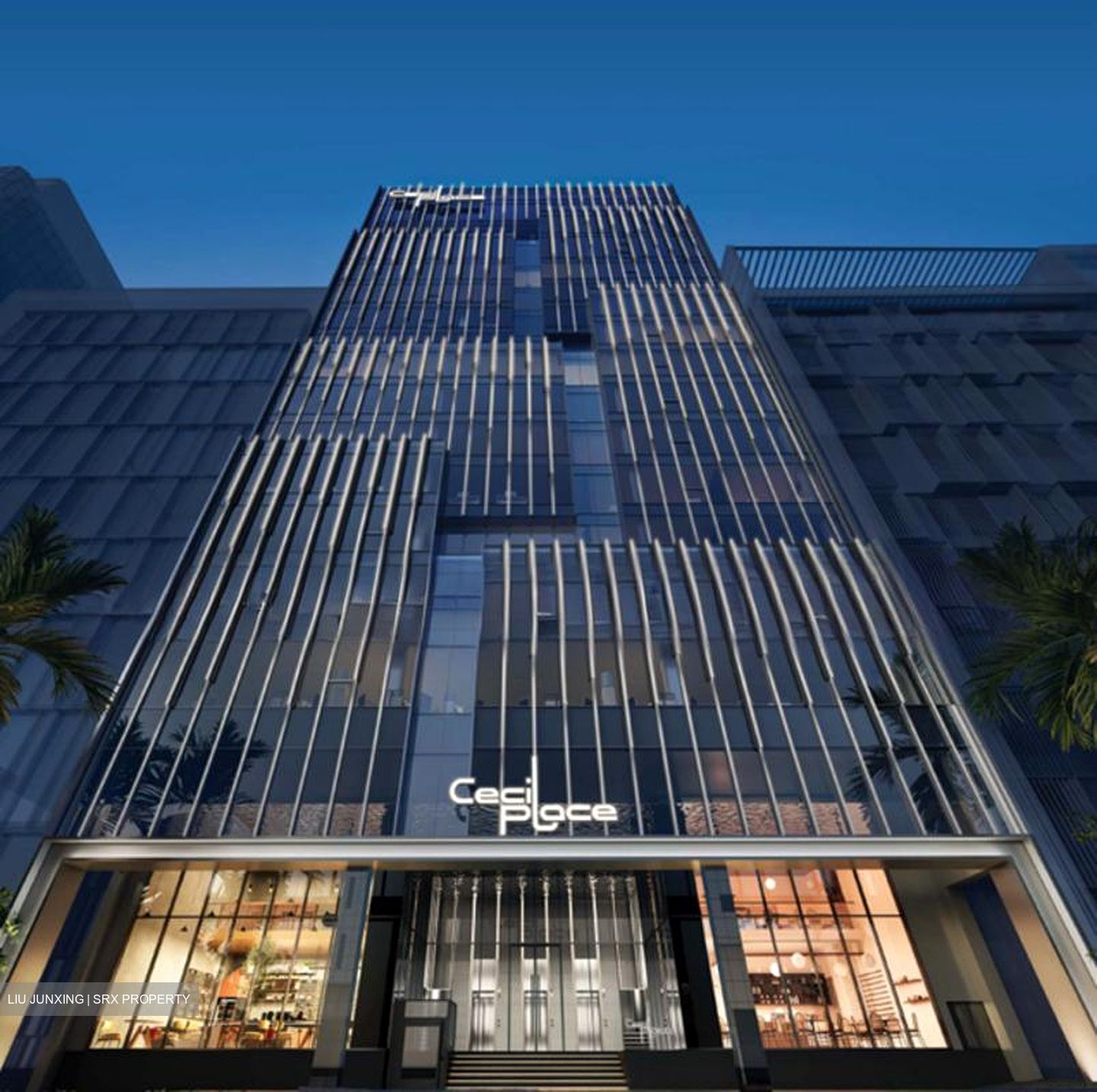 Cecil Suites (D1), Office #531119691